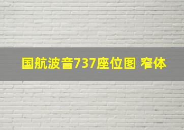 国航波音737座位图 窄体